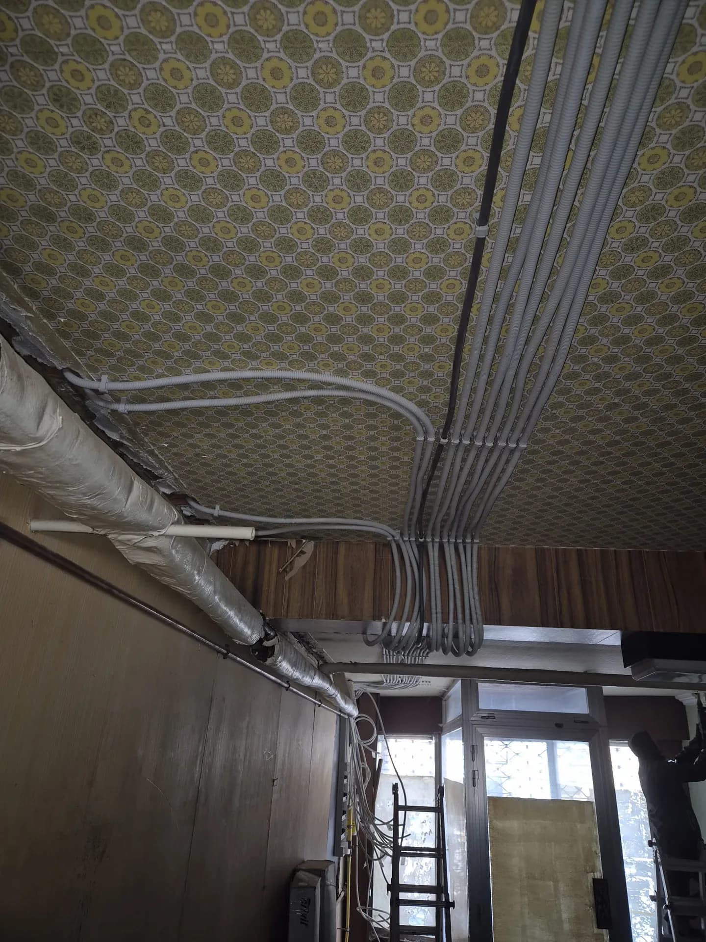 Faisceau de câbles apparent sous un plafond ancien, avant reprise.